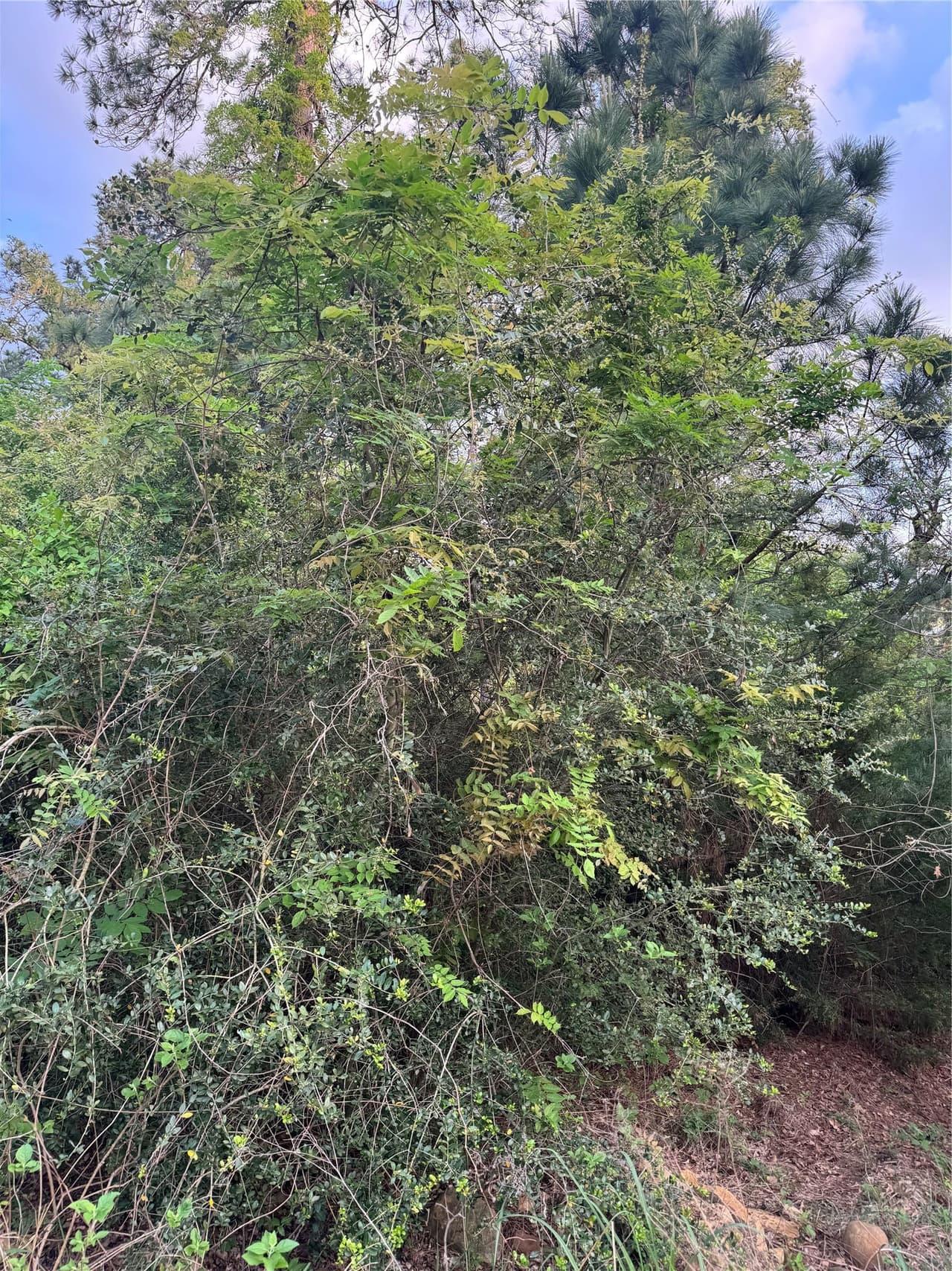 Lot 1386 N Pahihi Dr photo 4