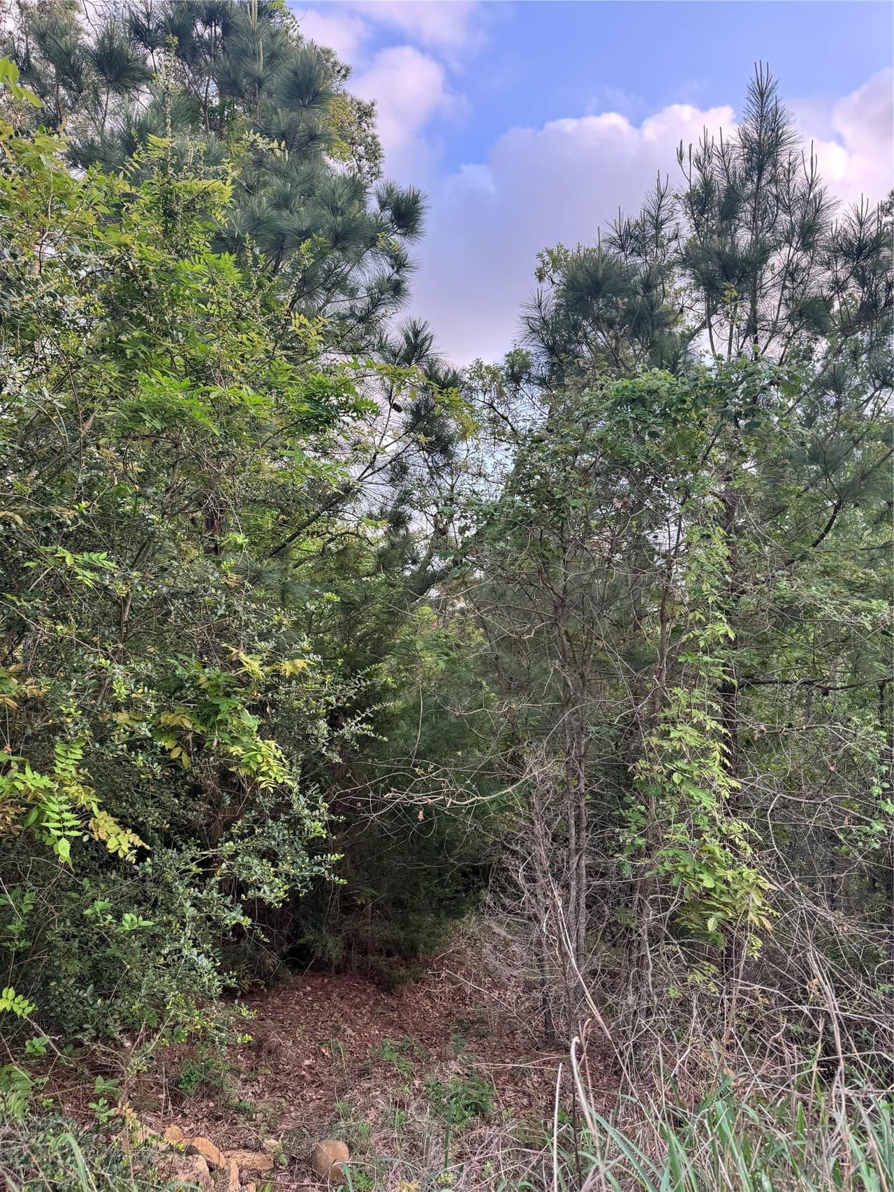 Lot 1386 N Pahihi Dr photo 5
