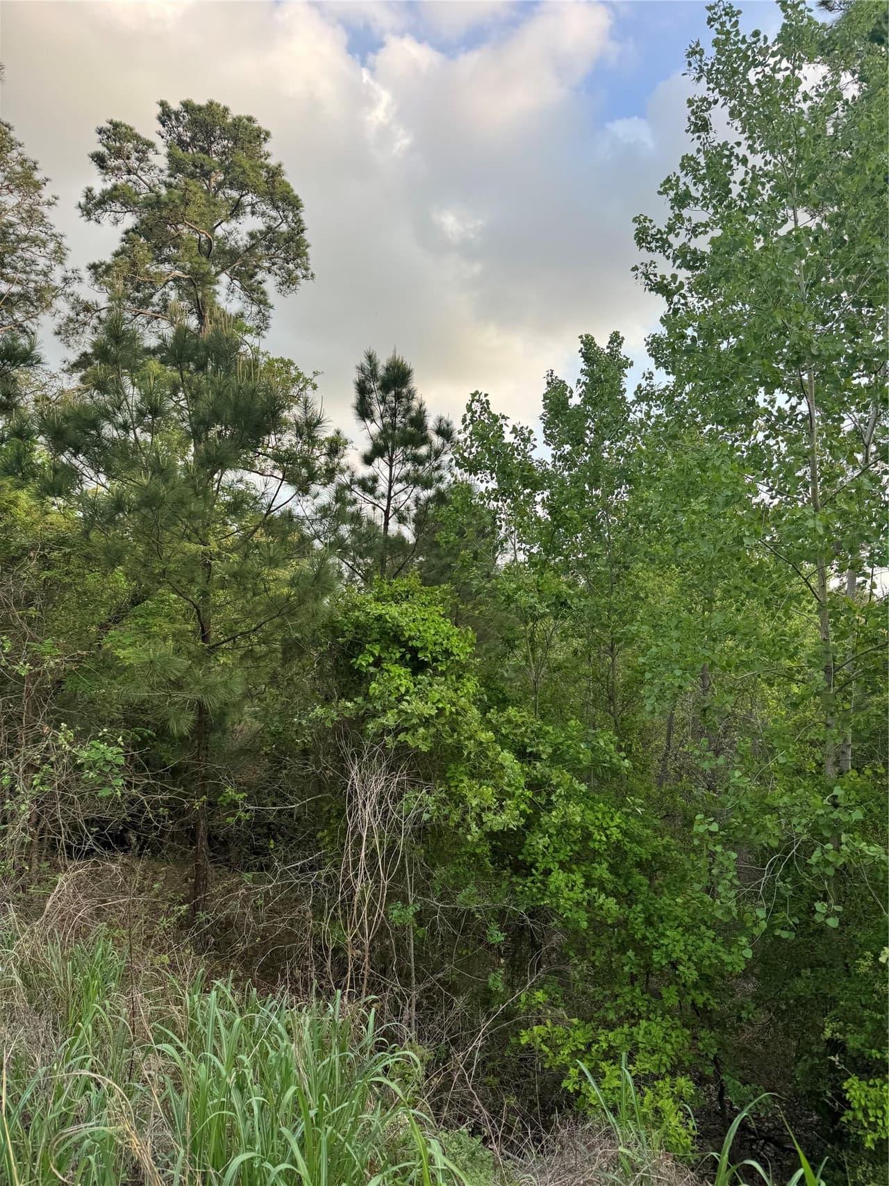 Lot 1386 N Pahihi Dr photo 6