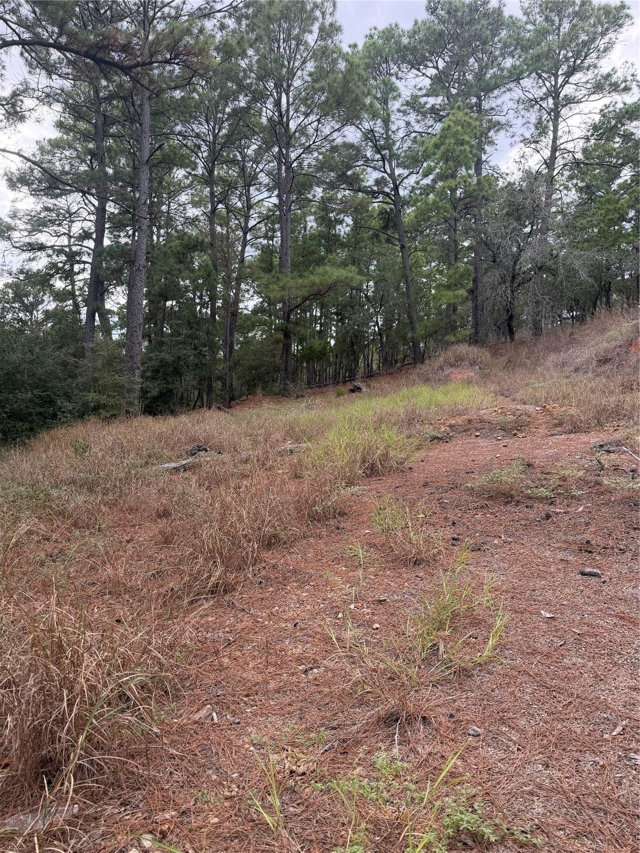 Lot 69 and 70  Taro Ct