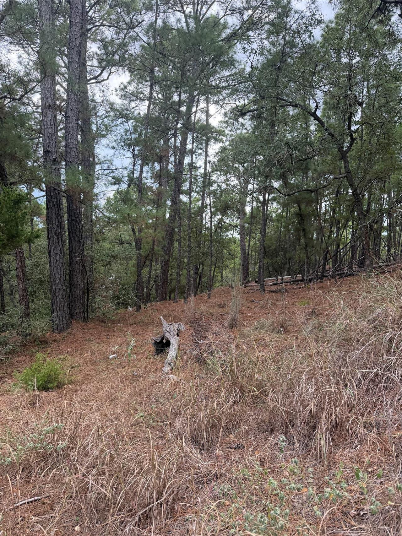Lot 69 and 70  Taro Ct photo 2
