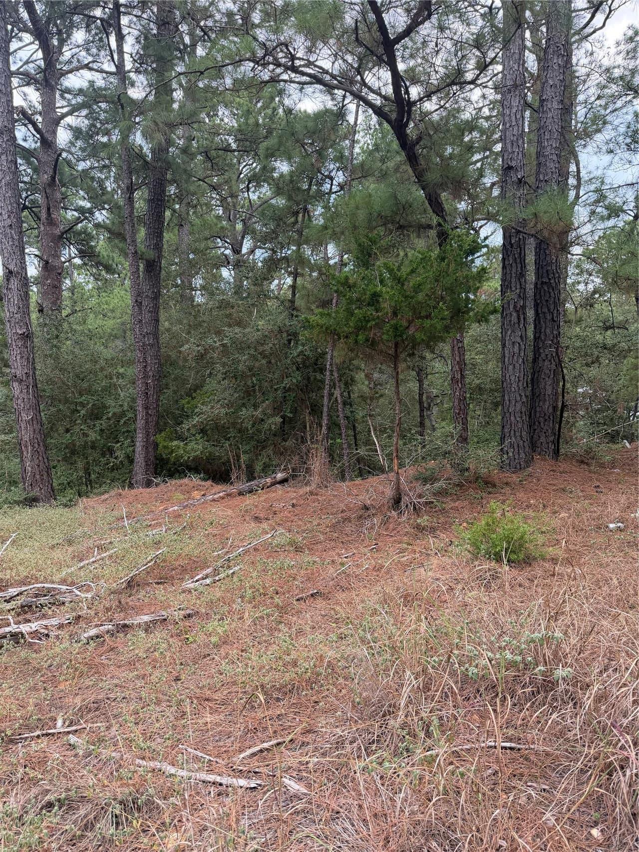 Lot 69 and 70  Taro Ct photo 3