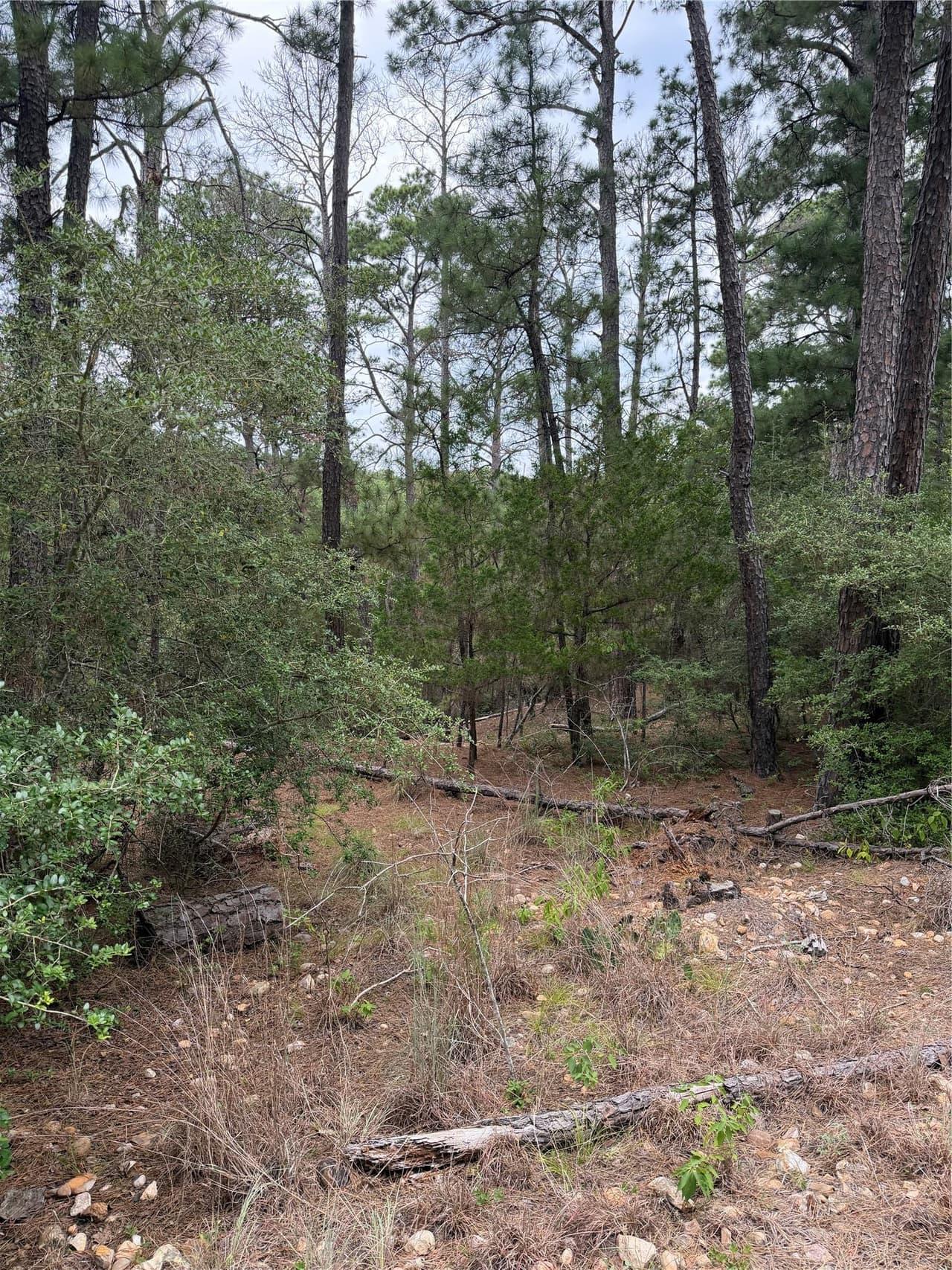 Lot 217  Hekili Dr photo 3