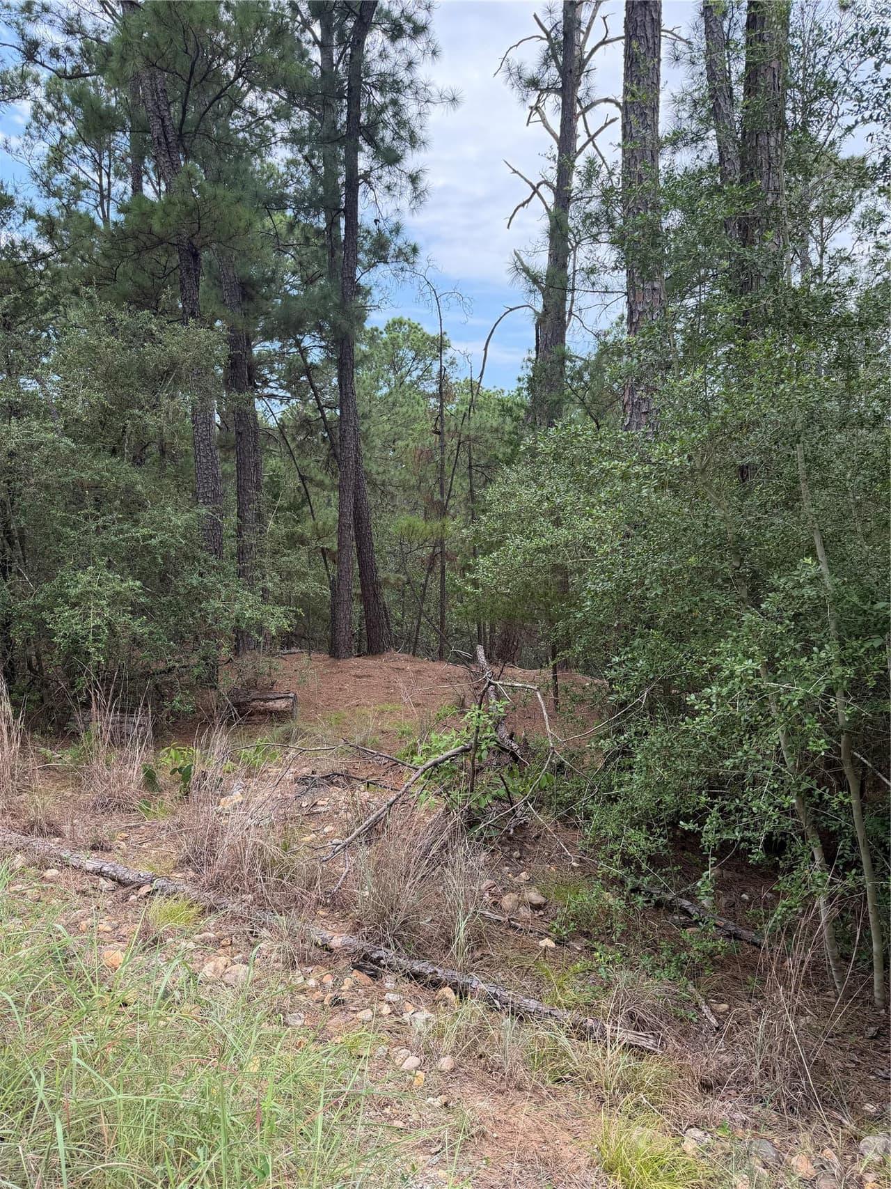 Lot 217  Hekili Dr photo 4
