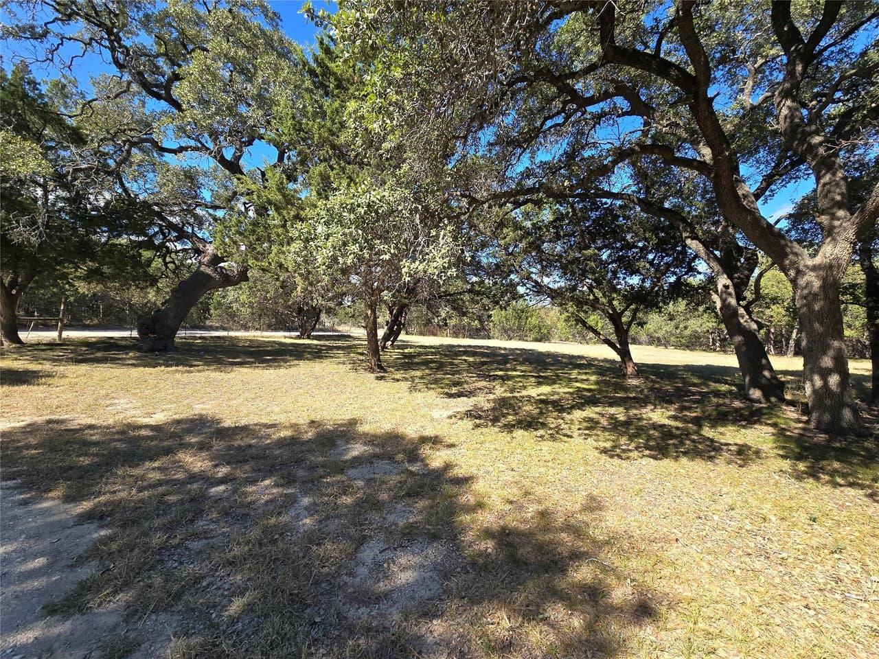 351  Live Oak Trl