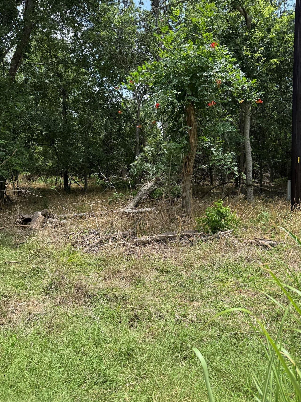 Lot 904  Kahana Ln photo 2