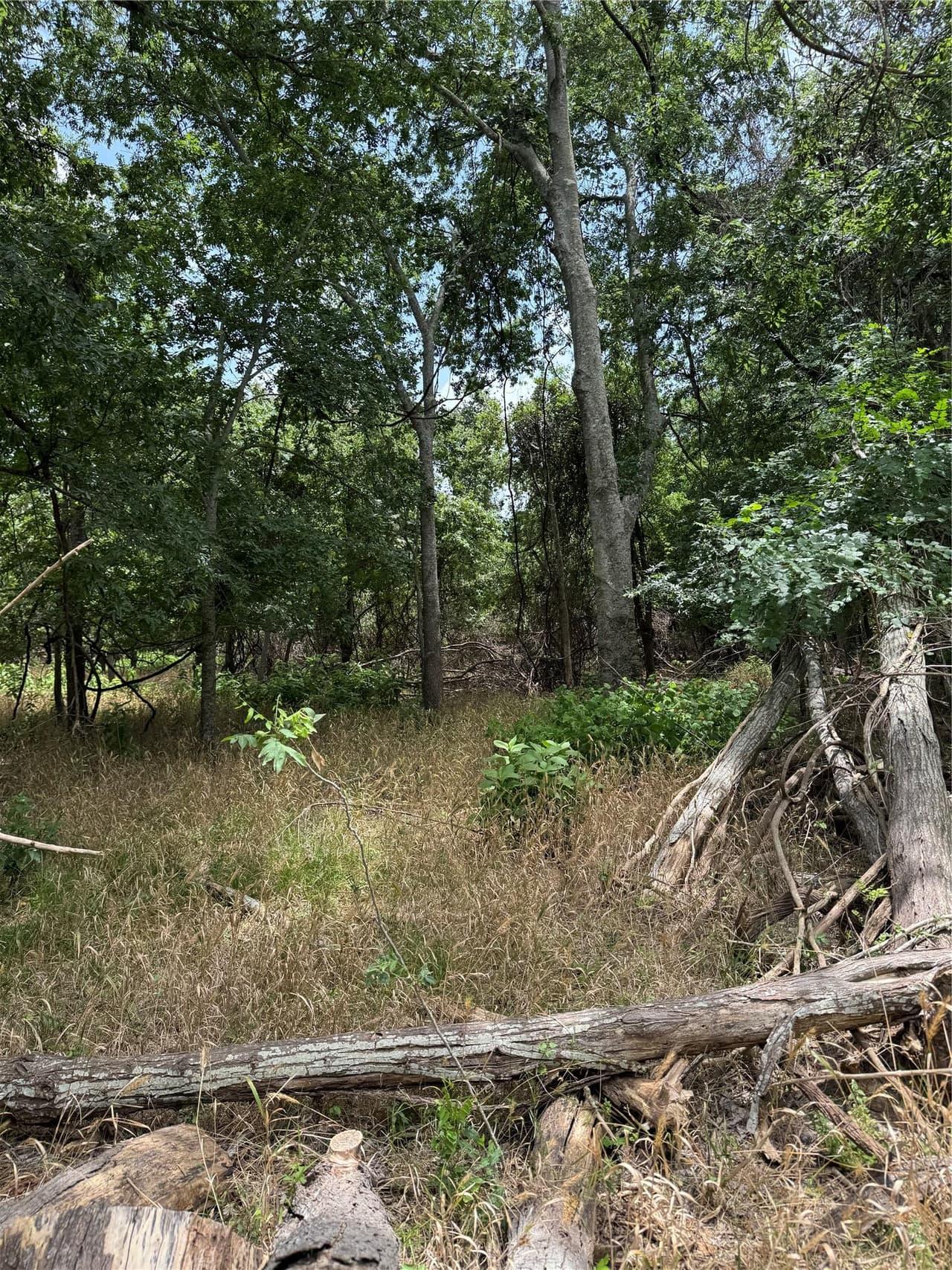 Lot 904  Kahana Ln photo 3