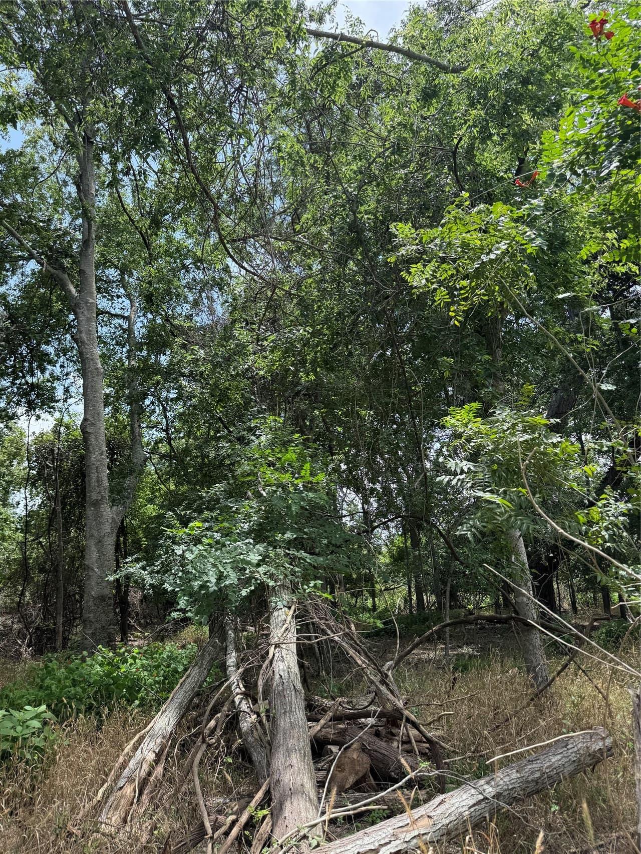 Lot 904  Kahana Ln photo 4
