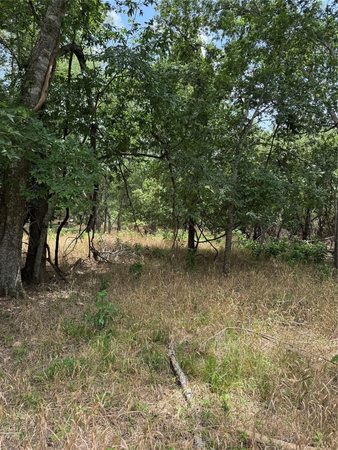 Lot 904  Kahana Ln photo 5