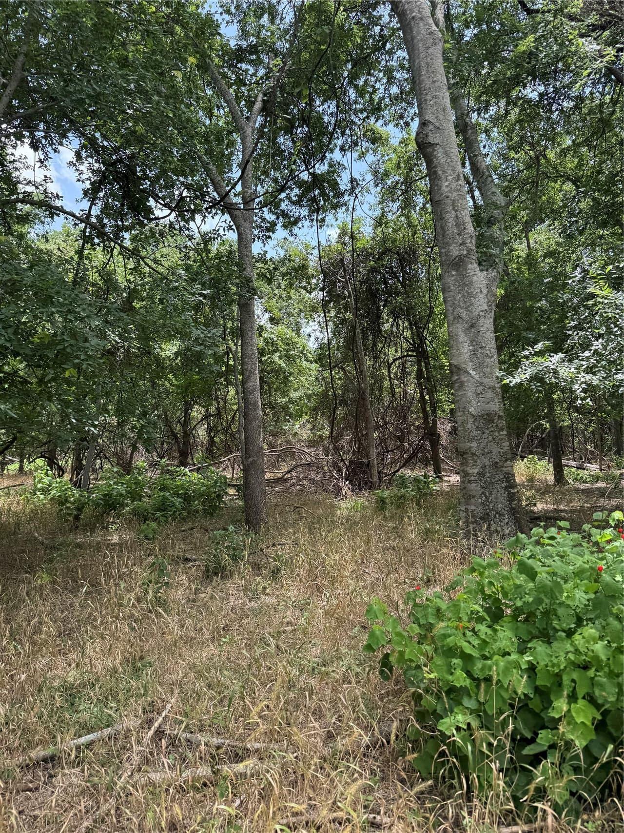 Lot 904  Kahana Ln photo 6