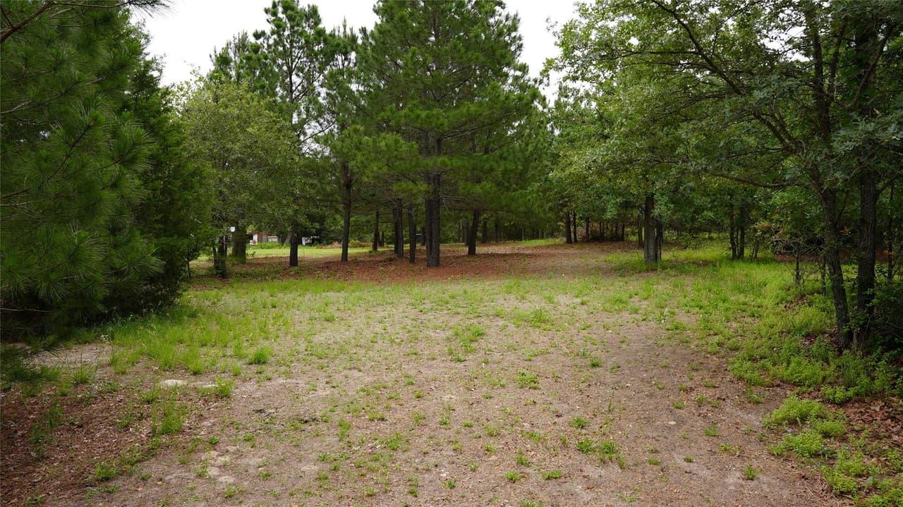 TBD  Buckhorn Dr
